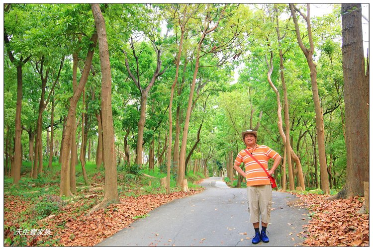 川文山森林生態保育農場、川文山、川文山森林生態保育農場、小陽明山、台南官田