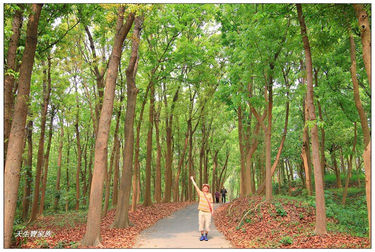 川文山森林生態保育農場、川文山、川文山森林生態保育農場、小陽明山、台南官田