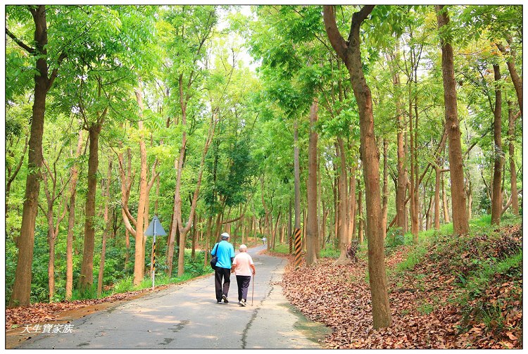 川文山森林生態保育農場、川文山、川文山森林生態保育農場、小陽明山、台南官田