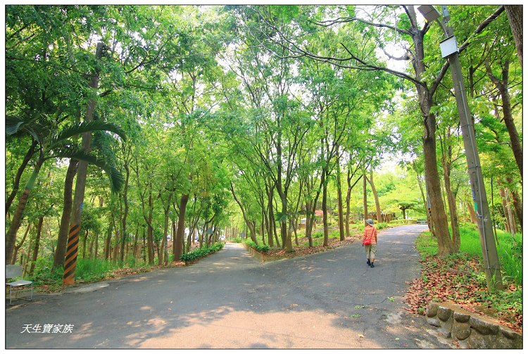 川文山森林生態保育農場、川文山、川文山森林生態保育農場、小陽明山、台南官田