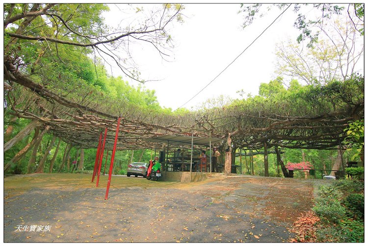 川文山森林生態保育農場、川文山、川文山森林生態保育農場、小陽明山、台南官田