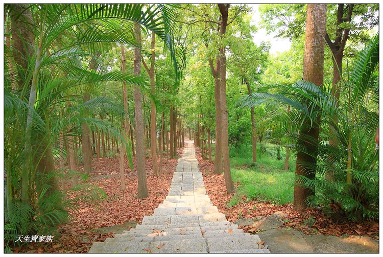 川文山森林生態保育農場、川文山、川文山森林生態保育農場、小陽明山、台南官田