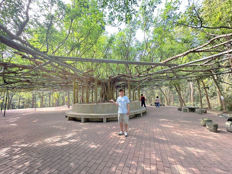 川文山森林生態保育農場、川文山、川文山森林生態保育農場、小陽明山、台南官田