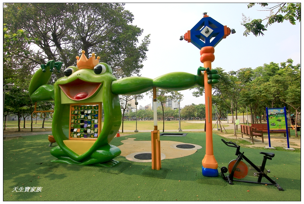 嘉義文化公園諸羅樹蛙