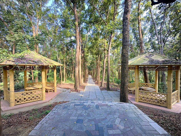 川文山森林生態保育農場、川文山、川文山森林生態保育農場、小陽明山、台南官田