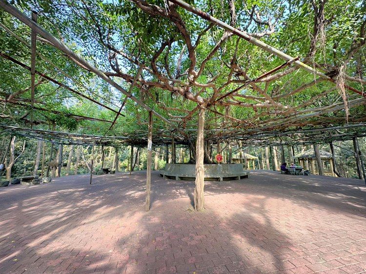 川文山森林生態保育農場、川文山、川文山森林生態保育農場、小陽明山、台南官田