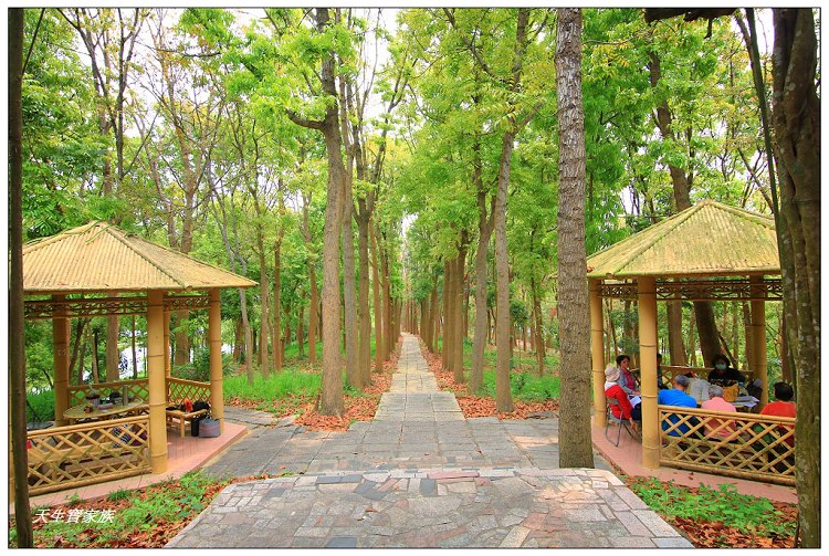 川文山森林生態保育農場、川文山、川文山森林生態保育農場、小陽明山、台南官田