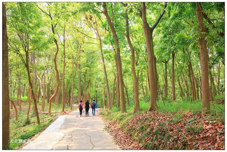 川文山森林生態保育農場、川文山、川文山森林生態保育農場、小陽明山、台南官田