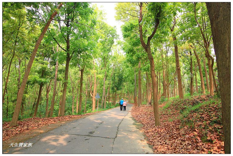 川文山森林生態保育農場、川文山、川文山森林生態保育農場、小陽明山、台南官田