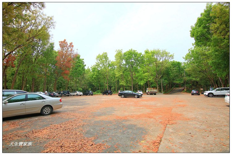 川文山森林生態保育農場、川文山、川文山森林生態保育農場、小陽明山、台南官田