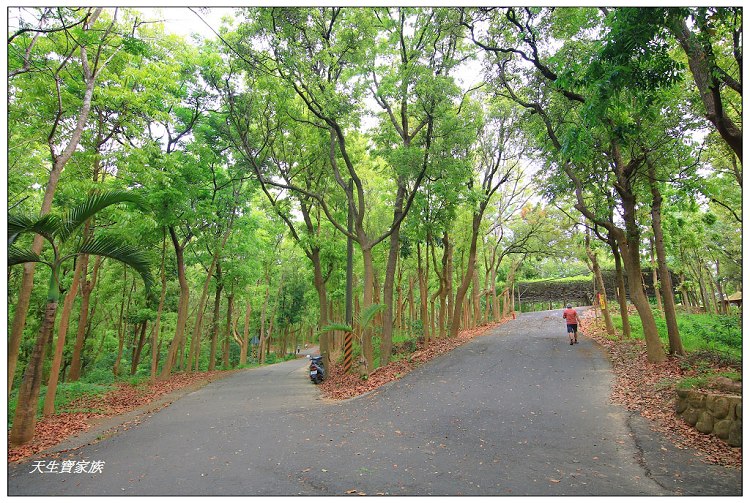 川文山森林生態保育農場、川文山、川文山森林生態保育農場、小陽明山、台南官田