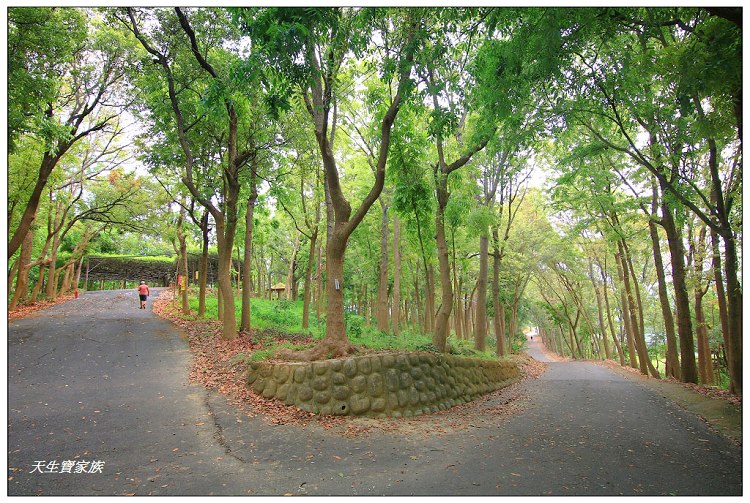 川文山森林生態保育農場、川文山、川文山森林生態保育農場、小陽明山、台南官田