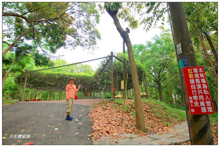 川文山森林生態保育農場、川文山、川文山森林生態保育農場、小陽明山、台南官田
