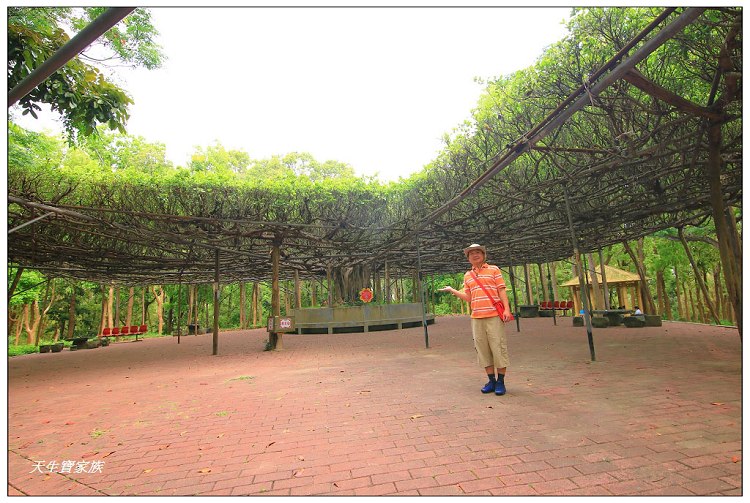 川文山森林生態保育農場、川文山、川文山森林生態保育農場、小陽明山、台南官田