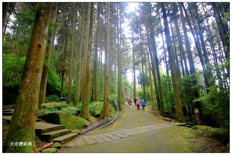嘉義頂湖,嘉義頂湖步道,大凍山 迷糊步道,大凍山三角點,大凍山停車場,大凍山步道圖,大凍山步道地圖,大凍山頂湖,奮起湖 杉林木步道,芙蓉山大凍山,芙蓉山步道,轎高竹林,迷糊步道,阿里山 杉林步道,阿里山鄉樂野村頂湖,阿里山頂湖步道,阿里山頂湖民宿,阿里山頂湖茶,霹靂山步道,頂湖,頂湖一日遊,頂湖天氣,頂湖常泰民宿,頂湖廣場,頂湖櫻花,頂湖步道,頂湖步道入口,頂湖海拔,頂湖環湖步道,頂湖環狀步道,頂湖環聚落步道,頂湖自然生態公園,頂湖自然生態區 dinghu trail,頂湖茶園,頂湖鳳姐,頂石棹的步道群