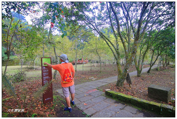 嘉義頂湖,嘉義頂湖步道,大凍山 迷糊步道,大凍山三角點,大凍山停車場,大凍山步道圖,大凍山步道地圖,大凍山頂湖,奮起湖 杉林木步道,芙蓉山大凍山,芙蓉山步道,轎高竹林,迷糊步道,阿里山 杉林步道,阿里山鄉樂野村頂湖,阿里山頂湖步道,阿里山頂湖民宿,阿里山頂湖茶,霹靂山步道,頂湖,頂湖一日遊,頂湖天氣,頂湖常泰民宿,頂湖廣場,頂湖櫻花,頂湖步道,頂湖步道入口,頂湖海拔,頂湖環湖步道,頂湖環狀步道,頂湖環聚落步道,頂湖自然生態公園,頂湖自然生態區 dinghu trail,頂湖茶園,頂湖鳳姐,頂石棹的步道群