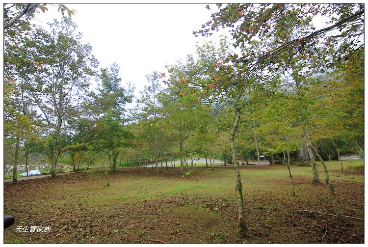 嘉義頂湖,嘉義頂湖步道,大凍山 迷糊步道,大凍山三角點,大凍山停車場,大凍山步道圖,大凍山步道地圖,大凍山頂湖,奮起湖 杉林木步道,芙蓉山大凍山,芙蓉山步道,轎高竹林,迷糊步道,阿里山 杉林步道,阿里山鄉樂野村頂湖,阿里山頂湖步道,阿里山頂湖民宿,阿里山頂湖茶,霹靂山步道,頂湖,頂湖一日遊,頂湖天氣,頂湖常泰民宿,頂湖廣場,頂湖櫻花,頂湖步道,頂湖步道入口,頂湖海拔,頂湖環湖步道,頂湖環狀步道,頂湖環聚落步道,頂湖自然生態公園,頂湖自然生態區 dinghu trail,頂湖茶園,頂湖鳳姐,頂石棹的步道群