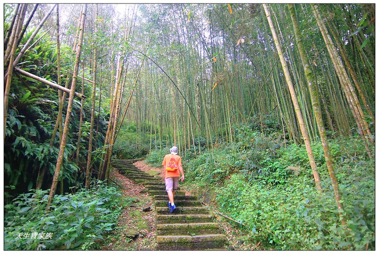 嘉義頂湖,嘉義頂湖步道,大凍山 迷糊步道,大凍山三角點,大凍山停車場,大凍山步道圖,大凍山步道地圖,大凍山頂湖,奮起湖 杉林木步道,芙蓉山大凍山,芙蓉山步道,轎高竹林,迷糊步道,阿里山 杉林步道,阿里山鄉樂野村頂湖,阿里山頂湖步道,阿里山頂湖民宿,阿里山頂湖茶,霹靂山步道,頂湖,頂湖一日遊,頂湖天氣,頂湖常泰民宿,頂湖廣場,頂湖櫻花,頂湖步道,頂湖步道入口,頂湖海拔,頂湖環湖步道,頂湖環狀步道,頂湖環聚落步道,頂湖自然生態公園,頂湖自然生態區 dinghu trail,頂湖茶園,頂湖鳳姐,頂石棹的步道群