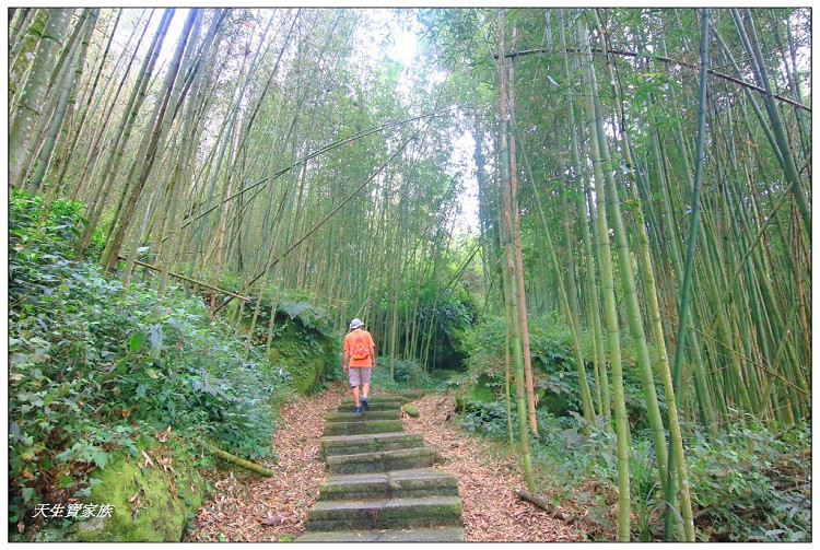 嘉義頂湖,嘉義頂湖步道,大凍山 迷糊步道,大凍山三角點,大凍山停車場,大凍山步道圖,大凍山步道地圖,大凍山頂湖,奮起湖 杉林木步道,芙蓉山大凍山,芙蓉山步道,轎高竹林,迷糊步道,阿里山 杉林步道,阿里山鄉樂野村頂湖,阿里山頂湖步道,阿里山頂湖民宿,阿里山頂湖茶,霹靂山步道,頂湖,頂湖一日遊,頂湖天氣,頂湖常泰民宿,頂湖廣場,頂湖櫻花,頂湖步道,頂湖步道入口,頂湖海拔,頂湖環湖步道,頂湖環狀步道,頂湖環聚落步道,頂湖自然生態公園,頂湖自然生態區 dinghu trail,頂湖茶園,頂湖鳳姐,頂石棹的步道群