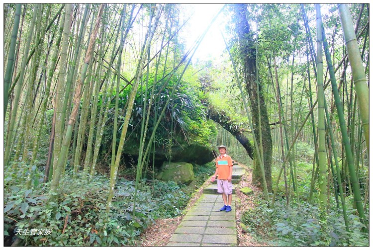 嘉義頂湖,嘉義頂湖步道,大凍山 迷糊步道,大凍山三角點,大凍山停車場,大凍山步道圖,大凍山步道地圖,大凍山頂湖,奮起湖 杉林木步道,芙蓉山大凍山,芙蓉山步道,轎高竹林,迷糊步道,阿里山 杉林步道,阿里山鄉樂野村頂湖,阿里山頂湖步道,阿里山頂湖民宿,阿里山頂湖茶,霹靂山步道,頂湖,頂湖一日遊,頂湖天氣,頂湖常泰民宿,頂湖廣場,頂湖櫻花,頂湖步道,頂湖步道入口,頂湖海拔,頂湖環湖步道,頂湖環狀步道,頂湖環聚落步道,頂湖自然生態公園,頂湖自然生態區 dinghu trail,頂湖茶園,頂湖鳳姐,頂石棹的步道群