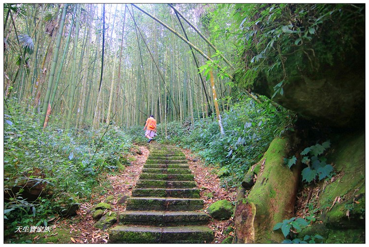 嘉義頂湖,嘉義頂湖步道,大凍山 迷糊步道,大凍山三角點,大凍山停車場,大凍山步道圖,大凍山步道地圖,大凍山頂湖,奮起湖 杉林木步道,芙蓉山大凍山,芙蓉山步道,轎高竹林,迷糊步道,阿里山 杉林步道,阿里山鄉樂野村頂湖,阿里山頂湖步道,阿里山頂湖民宿,阿里山頂湖茶,霹靂山步道,頂湖,頂湖一日遊,頂湖天氣,頂湖常泰民宿,頂湖廣場,頂湖櫻花,頂湖步道,頂湖步道入口,頂湖海拔,頂湖環湖步道,頂湖環狀步道,頂湖環聚落步道,頂湖自然生態公園,頂湖自然生態區 dinghu trail,頂湖茶園,頂湖鳳姐,頂石棹的步道群