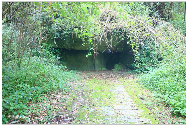 嘉義頂湖,嘉義頂湖步道,大凍山 迷糊步道,大凍山三角點,大凍山停車場,大凍山步道圖,大凍山步道地圖,大凍山頂湖,奮起湖 杉林木步道,芙蓉山大凍山,芙蓉山步道,轎高竹林,迷糊步道,阿里山 杉林步道,阿里山鄉樂野村頂湖,阿里山頂湖步道,阿里山頂湖民宿,阿里山頂湖茶,霹靂山步道,頂湖,頂湖一日遊,頂湖天氣,頂湖常泰民宿,頂湖廣場,頂湖櫻花,頂湖步道,頂湖步道入口,頂湖海拔,頂湖環湖步道,頂湖環狀步道,頂湖環聚落步道,頂湖自然生態公園,頂湖自然生態區 dinghu trail,頂湖茶園,頂湖鳳姐,頂石棹的步道群