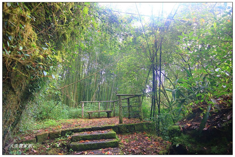 嘉義頂湖,嘉義頂湖步道,大凍山 迷糊步道,大凍山三角點,大凍山停車場,大凍山步道圖,大凍山步道地圖,大凍山頂湖,奮起湖 杉林木步道,芙蓉山大凍山,芙蓉山步道,轎高竹林,迷糊步道,阿里山 杉林步道,阿里山鄉樂野村頂湖,阿里山頂湖步道,阿里山頂湖民宿,阿里山頂湖茶,霹靂山步道,頂湖,頂湖一日遊,頂湖天氣,頂湖常泰民宿,頂湖廣場,頂湖櫻花,頂湖步道,頂湖步道入口,頂湖海拔,頂湖環湖步道,頂湖環狀步道,頂湖環聚落步道,頂湖自然生態公園,頂湖自然生態區 dinghu trail,頂湖茶園,頂湖鳳姐,頂石棹的步道群