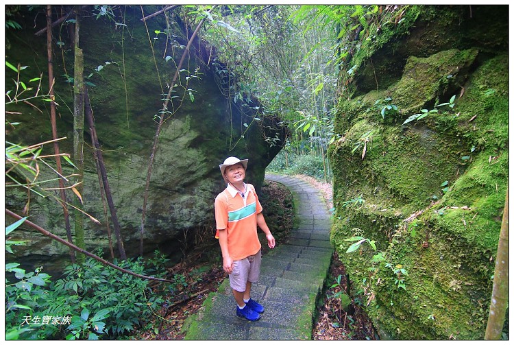 嘉義頂湖,嘉義頂湖步道,大凍山 迷糊步道,大凍山三角點,大凍山停車場,大凍山步道圖,大凍山步道地圖,大凍山頂湖,奮起湖 杉林木步道,芙蓉山大凍山,芙蓉山步道,轎高竹林,迷糊步道,阿里山 杉林步道,阿里山鄉樂野村頂湖,阿里山頂湖步道,阿里山頂湖民宿,阿里山頂湖茶,霹靂山步道,頂湖,頂湖一日遊,頂湖天氣,頂湖常泰民宿,頂湖廣場,頂湖櫻花,頂湖步道,頂湖步道入口,頂湖海拔,頂湖環湖步道,頂湖環狀步道,頂湖環聚落步道,頂湖自然生態公園,頂湖自然生態區 dinghu trail,頂湖茶園,頂湖鳳姐,頂石棹的步道群