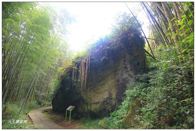 嘉義頂湖,嘉義頂湖步道,大凍山 迷糊步道,大凍山三角點,大凍山停車場,大凍山步道圖,大凍山步道地圖,大凍山頂湖,奮起湖 杉林木步道,芙蓉山大凍山,芙蓉山步道,轎高竹林,迷糊步道,阿里山 杉林步道,阿里山鄉樂野村頂湖,阿里山頂湖步道,阿里山頂湖民宿,阿里山頂湖茶,霹靂山步道,頂湖,頂湖一日遊,頂湖天氣,頂湖常泰民宿,頂湖廣場,頂湖櫻花,頂湖步道,頂湖步道入口,頂湖海拔,頂湖環湖步道,頂湖環狀步道,頂湖環聚落步道,頂湖自然生態公園,頂湖自然生態區 dinghu trail,頂湖茶園,頂湖鳳姐,頂石棹的步道群