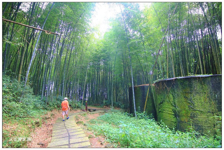 嘉義頂湖,嘉義頂湖步道,大凍山 迷糊步道,大凍山三角點,大凍山停車場,大凍山步道圖,大凍山步道地圖,大凍山頂湖,奮起湖 杉林木步道,芙蓉山大凍山,芙蓉山步道,轎高竹林,迷糊步道,阿里山 杉林步道,阿里山鄉樂野村頂湖,阿里山頂湖步道,阿里山頂湖民宿,阿里山頂湖茶,霹靂山步道,頂湖,頂湖一日遊,頂湖天氣,頂湖常泰民宿,頂湖廣場,頂湖櫻花,頂湖步道,頂湖步道入口,頂湖海拔,頂湖環湖步道,頂湖環狀步道,頂湖環聚落步道,頂湖自然生態公園,頂湖自然生態區 dinghu trail,頂湖茶園,頂湖鳳姐,頂石棹的步道群