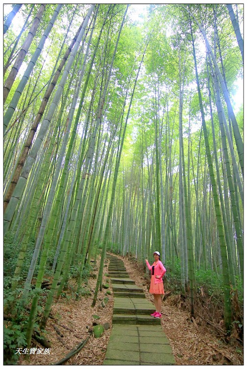 嘉義頂湖,嘉義頂湖步道,大凍山 迷糊步道,大凍山三角點,大凍山停車場,大凍山步道圖,大凍山步道地圖,大凍山頂湖,奮起湖 杉林木步道,芙蓉山大凍山,芙蓉山步道,轎高竹林,迷糊步道,阿里山 杉林步道,阿里山鄉樂野村頂湖,阿里山頂湖步道,阿里山頂湖民宿,阿里山頂湖茶,霹靂山步道,頂湖,頂湖一日遊,頂湖天氣,頂湖常泰民宿,頂湖廣場,頂湖櫻花,頂湖步道,頂湖步道入口,頂湖海拔,頂湖環湖步道,頂湖環狀步道,頂湖環聚落步道,頂湖自然生態公園,頂湖自然生態區 dinghu trail,頂湖茶園,頂湖鳳姐,頂石棹的步道群