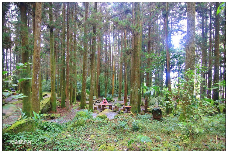 嘉義頂湖,嘉義頂湖步道,大凍山 迷糊步道,大凍山三角點,大凍山停車場,大凍山步道圖,大凍山步道地圖,大凍山頂湖,奮起湖 杉林木步道,芙蓉山大凍山,芙蓉山步道,轎高竹林,迷糊步道,阿里山 杉林步道,阿里山鄉樂野村頂湖,阿里山頂湖步道,阿里山頂湖民宿,阿里山頂湖茶,霹靂山步道,頂湖,頂湖一日遊,頂湖天氣,頂湖常泰民宿,頂湖廣場,頂湖櫻花,頂湖步道,頂湖步道入口,頂湖海拔,頂湖環湖步道,頂湖環狀步道,頂湖環聚落步道,頂湖自然生態公園,頂湖自然生態區 dinghu trail,頂湖茶園,頂湖鳳姐,頂石棹的步道群