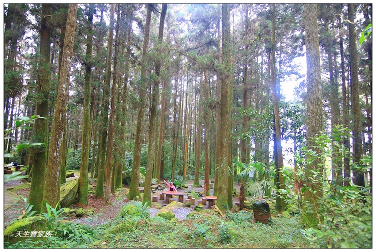 嘉義頂湖,嘉義頂湖步道,大凍山 迷糊步道,大凍山三角點,大凍山停車場,大凍山步道圖,大凍山步道地圖,大凍山頂湖,奮起湖 杉林木步道,芙蓉山大凍山,芙蓉山步道,轎高竹林,迷糊步道,阿里山 杉林步道,阿里山鄉樂野村頂湖,阿里山頂湖步道,阿里山頂湖民宿,阿里山頂湖茶,霹靂山步道,頂湖,頂湖一日遊,頂湖天氣,頂湖常泰民宿,頂湖廣場,頂湖櫻花,頂湖步道,頂湖步道入口,頂湖海拔,頂湖環湖步道,頂湖環狀步道,頂湖環聚落步道,頂湖自然生態公園,頂湖自然生態區 dinghu trail,頂湖茶園,頂湖鳳姐,頂石棹的步道群