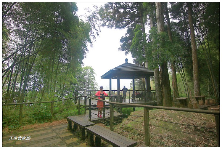 嘉義頂湖,嘉義頂湖步道,大凍山 迷糊步道,大凍山三角點,大凍山停車場,大凍山步道圖,大凍山步道地圖,大凍山頂湖,奮起湖 杉林木步道,芙蓉山大凍山,芙蓉山步道,轎高竹林,迷糊步道,阿里山 杉林步道,阿里山鄉樂野村頂湖,阿里山頂湖步道,阿里山頂湖民宿,阿里山頂湖茶,霹靂山步道,頂湖,頂湖一日遊,頂湖天氣,頂湖常泰民宿,頂湖廣場,頂湖櫻花,頂湖步道,頂湖步道入口,頂湖海拔,頂湖環湖步道,頂湖環狀步道,頂湖環聚落步道,頂湖自然生態公園,頂湖自然生態區 dinghu trail,頂湖茶園,頂湖鳳姐,頂石棹的步道群