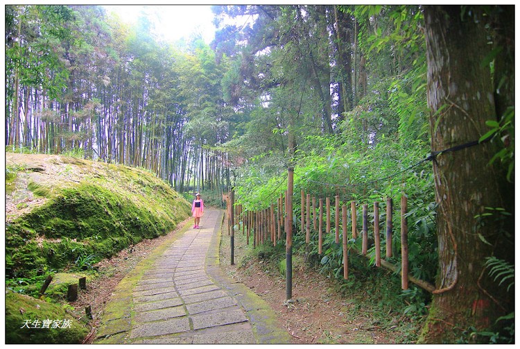 嘉義頂湖,嘉義頂湖步道,大凍山 迷糊步道,大凍山三角點,大凍山停車場,大凍山步道圖,大凍山步道地圖,大凍山頂湖,奮起湖 杉林木步道,芙蓉山大凍山,芙蓉山步道,轎高竹林,迷糊步道,阿里山 杉林步道,阿里山鄉樂野村頂湖,阿里山頂湖步道,阿里山頂湖民宿,阿里山頂湖茶,霹靂山步道,頂湖,頂湖一日遊,頂湖天氣,頂湖常泰民宿,頂湖廣場,頂湖櫻花,頂湖步道,頂湖步道入口,頂湖海拔,頂湖環湖步道,頂湖環狀步道,頂湖環聚落步道,頂湖自然生態公園,頂湖自然生態區 dinghu trail,頂湖茶園,頂湖鳳姐,頂石棹的步道群