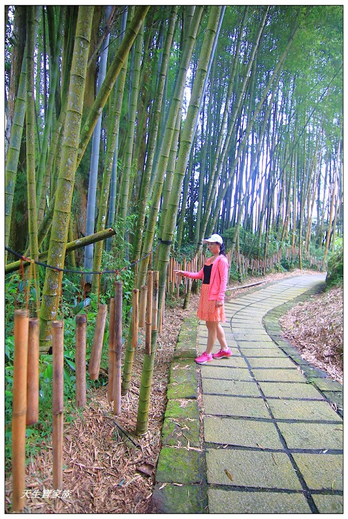 嘉義頂湖,嘉義頂湖步道,大凍山 迷糊步道,大凍山三角點,大凍山停車場,大凍山步道圖,大凍山步道地圖,大凍山頂湖,奮起湖 杉林木步道,芙蓉山大凍山,芙蓉山步道,轎高竹林,迷糊步道,阿里山 杉林步道,阿里山鄉樂野村頂湖,阿里山頂湖步道,阿里山頂湖民宿,阿里山頂湖茶,霹靂山步道,頂湖,頂湖一日遊,頂湖天氣,頂湖常泰民宿,頂湖廣場,頂湖櫻花,頂湖步道,頂湖步道入口,頂湖海拔,頂湖環湖步道,頂湖環狀步道,頂湖環聚落步道,頂湖自然生態公園,頂湖自然生態區 dinghu trail,頂湖茶園,頂湖鳳姐,頂石棹的步道群