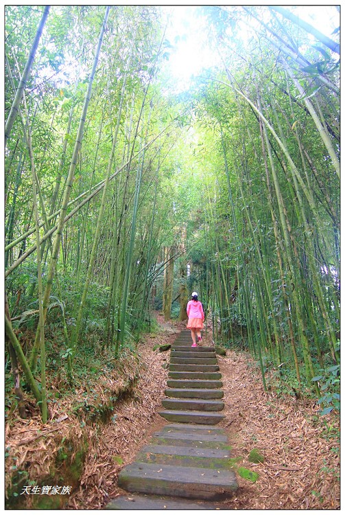 嘉義頂湖,嘉義頂湖步道,大凍山 迷糊步道,大凍山三角點,大凍山停車場,大凍山步道圖,大凍山步道地圖,大凍山頂湖,奮起湖 杉林木步道,芙蓉山大凍山,芙蓉山步道,轎高竹林,迷糊步道,阿里山 杉林步道,阿里山鄉樂野村頂湖,阿里山頂湖步道,阿里山頂湖民宿,阿里山頂湖茶,霹靂山步道,頂湖,頂湖一日遊,頂湖天氣,頂湖常泰民宿,頂湖廣場,頂湖櫻花,頂湖步道,頂湖步道入口,頂湖海拔,頂湖環湖步道,頂湖環狀步道,頂湖環聚落步道,頂湖自然生態公園,頂湖自然生態區 dinghu trail,頂湖茶園,頂湖鳳姐,頂石棹的步道群