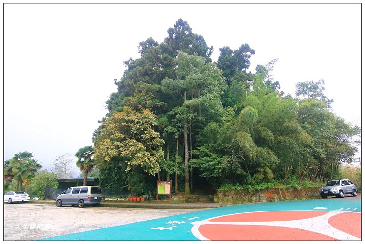 嘉義頂湖,嘉義頂湖步道,大凍山 迷糊步道,大凍山三角點,大凍山停車場,大凍山步道圖,大凍山步道地圖,大凍山頂湖,奮起湖 杉林木步道,芙蓉山大凍山,芙蓉山步道,轎高竹林,迷糊步道,阿里山 杉林步道,阿里山鄉樂野村頂湖,阿里山頂湖步道,阿里山頂湖民宿,阿里山頂湖茶,霹靂山步道,頂湖,頂湖一日遊,頂湖天氣,頂湖常泰民宿,頂湖廣場,頂湖櫻花,頂湖步道,頂湖步道入口,頂湖海拔,頂湖環湖步道,頂湖環狀步道,頂湖環聚落步道,頂湖自然生態公園,頂湖自然生態區 dinghu trail,頂湖茶園,頂湖鳳姐,頂石棹的步道群