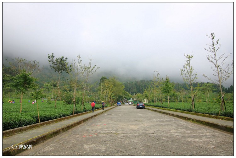 嘉義頂湖,嘉義頂湖步道,大凍山 迷糊步道,大凍山三角點,大凍山停車場,大凍山步道圖,大凍山步道地圖,大凍山頂湖,奮起湖 杉林木步道,芙蓉山大凍山,芙蓉山步道,轎高竹林,迷糊步道,阿里山 杉林步道,阿里山鄉樂野村頂湖,阿里山頂湖步道,阿里山頂湖民宿,阿里山頂湖茶,霹靂山步道,頂湖,頂湖一日遊,頂湖天氣,頂湖常泰民宿,頂湖廣場,頂湖櫻花,頂湖步道,頂湖步道入口,頂湖海拔,頂湖環湖步道,頂湖環狀步道,頂湖環聚落步道,頂湖自然生態公園,頂湖自然生態區 dinghu trail,頂湖茶園,頂湖鳳姐,頂石棹的步道群
