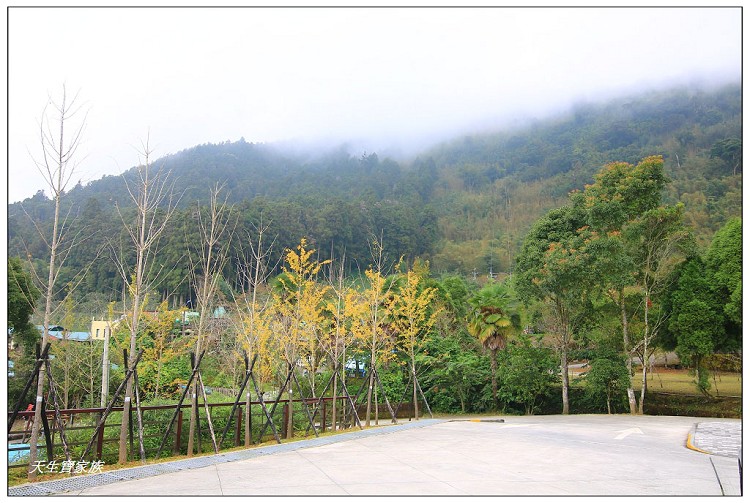 嘉義頂湖,嘉義頂湖步道,大凍山 迷糊步道,大凍山三角點,大凍山停車場,大凍山步道圖,大凍山步道地圖,大凍山頂湖,奮起湖 杉林木步道,芙蓉山大凍山,芙蓉山步道,轎高竹林,迷糊步道,阿里山 杉林步道,阿里山鄉樂野村頂湖,阿里山頂湖步道,阿里山頂湖民宿,阿里山頂湖茶,霹靂山步道,頂湖,頂湖一日遊,頂湖天氣,頂湖常泰民宿,頂湖廣場,頂湖櫻花,頂湖步道,頂湖步道入口,頂湖海拔,頂湖環湖步道,頂湖環狀步道,頂湖環聚落步道,頂湖自然生態公園,頂湖自然生態區 dinghu trail,頂湖茶園,頂湖鳳姐,頂石棹的步道群