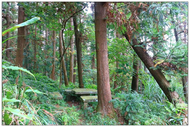 仙山,仙山 仙水,仙山 協靈宮,仙山 苗栗,仙山 靈洞宮,仙山協靈宮,仙山協靈宮交通,仙山古道,仙山古道 南段,仙山導航,仙山步道,仙山登山步道時間,仙山美食,仙山路況,仙山階梯,仙山雲海,仙山靈洞宮,仙山靈洞宮主神,仙山靈洞宮交通,仙山靈洞宮住宿,仙山靈洞宮問事,仙山靈洞宮海拔,仙山風景區,協靈宮九天玄女,協靈宮九天玄女聖誕,協靈宮仙水亭,南庄仙山,南庄仙山古道地圖,灵洞宫,獅潭 仙山,獅潭 爬山,獅潭仙山,獅潭仙山靈洞宮,獅潭鄉仙山,獅潭靈洞宮,苗栗 仙山,苗栗 仙山 住宿,苗栗九天玄女廟,苗栗仙山,苗栗仙山九天玄女廟怎麼去,苗栗仙山交通,苗栗仙山協靈宮地址,苗栗仙山景點,苗栗仙山靈洞宮,苗栗獅潭仙山,苗栗縣仙山,苗栗靈洞宮,草坪頭附近景點,靈洞宮主神,靈洞宮海拔