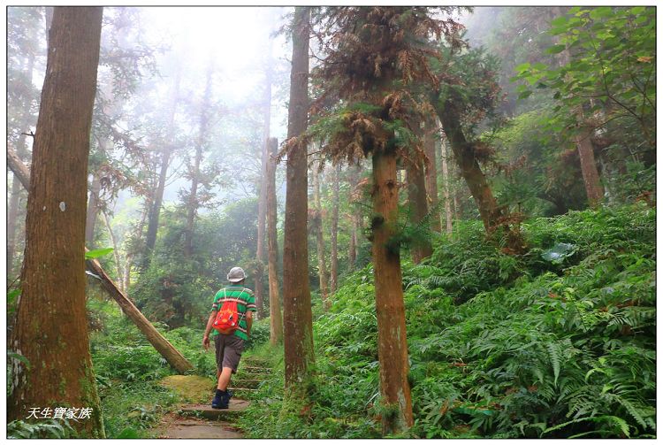 仙山,仙山 仙水,仙山 協靈宮,仙山 苗栗,仙山 靈洞宮,仙山協靈宮,仙山協靈宮交通,仙山古道,仙山古道 南段,仙山導航,仙山步道,仙山登山步道時間,仙山美食,仙山路況,仙山階梯,仙山雲海,仙山靈洞宮,仙山靈洞宮主神,仙山靈洞宮交通,仙山靈洞宮住宿,仙山靈洞宮問事,仙山靈洞宮海拔,仙山風景區,協靈宮九天玄女,協靈宮九天玄女聖誕,協靈宮仙水亭,南庄仙山,南庄仙山古道地圖,灵洞宫,獅潭 仙山,獅潭 爬山,獅潭仙山,獅潭仙山靈洞宮,獅潭鄉仙山,獅潭靈洞宮,苗栗 仙山,苗栗 仙山 住宿,苗栗九天玄女廟,苗栗仙山,苗栗仙山九天玄女廟怎麼去,苗栗仙山交通,苗栗仙山協靈宮地址,苗栗仙山景點,苗栗仙山靈洞宮,苗栗獅潭仙山,苗栗縣仙山,苗栗靈洞宮,草坪頭附近景點,靈洞宮主神,靈洞宮海拔