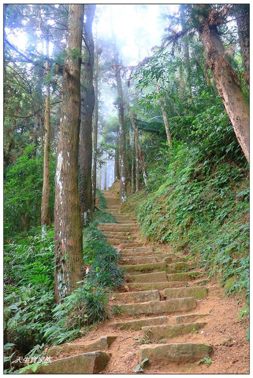 仙山,仙山 仙水,仙山 協靈宮,仙山 苗栗,仙山 靈洞宮,仙山協靈宮,仙山協靈宮交通,仙山古道,仙山古道 南段,仙山導航,仙山步道,仙山登山步道時間,仙山美食,仙山路況,仙山階梯,仙山雲海,仙山靈洞宮,仙山靈洞宮主神,仙山靈洞宮交通,仙山靈洞宮住宿,仙山靈洞宮問事,仙山靈洞宮海拔,仙山風景區,協靈宮九天玄女,協靈宮九天玄女聖誕,協靈宮仙水亭,南庄仙山,南庄仙山古道地圖,灵洞宫,獅潭 仙山,獅潭 爬山,獅潭仙山,獅潭仙山靈洞宮,獅潭鄉仙山,獅潭靈洞宮,苗栗 仙山,苗栗 仙山 住宿,苗栗九天玄女廟,苗栗仙山,苗栗仙山九天玄女廟怎麼去,苗栗仙山交通,苗栗仙山協靈宮地址,苗栗仙山景點,苗栗仙山靈洞宮,苗栗獅潭仙山,苗栗縣仙山,苗栗靈洞宮,草坪頭附近景點,靈洞宮主神,靈洞宮海拔