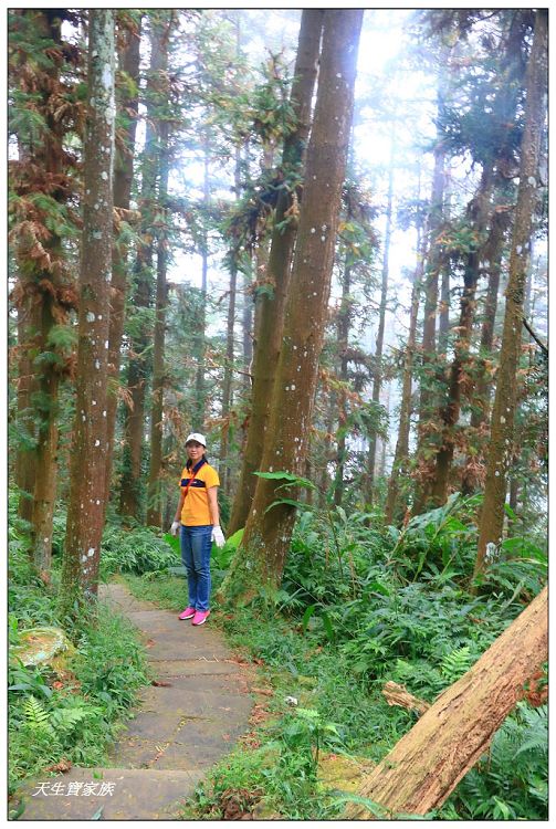 仙山,仙山 仙水,仙山 協靈宮,仙山 苗栗,仙山 靈洞宮,仙山協靈宮,仙山協靈宮交通,仙山古道,仙山古道 南段,仙山導航,仙山步道,仙山登山步道時間,仙山美食,仙山路況,仙山階梯,仙山雲海,仙山靈洞宮,仙山靈洞宮主神,仙山靈洞宮交通,仙山靈洞宮住宿,仙山靈洞宮問事,仙山靈洞宮海拔,仙山風景區,協靈宮九天玄女,協靈宮九天玄女聖誕,協靈宮仙水亭,南庄仙山,南庄仙山古道地圖,灵洞宫,獅潭 仙山,獅潭 爬山,獅潭仙山,獅潭仙山靈洞宮,獅潭鄉仙山,獅潭靈洞宮,苗栗 仙山,苗栗 仙山 住宿,苗栗九天玄女廟,苗栗仙山,苗栗仙山九天玄女廟怎麼去,苗栗仙山交通,苗栗仙山協靈宮地址,苗栗仙山景點,苗栗仙山靈洞宮,苗栗獅潭仙山,苗栗縣仙山,苗栗靈洞宮,草坪頭附近景點,靈洞宮主神,靈洞宮海拔