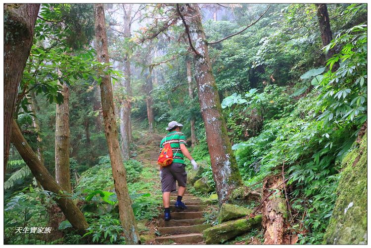 仙山,仙山 仙水,仙山 協靈宮,仙山 苗栗,仙山 靈洞宮,仙山協靈宮,仙山協靈宮交通,仙山古道,仙山古道 南段,仙山導航,仙山步道,仙山登山步道時間,仙山美食,仙山路況,仙山階梯,仙山雲海,仙山靈洞宮,仙山靈洞宮主神,仙山靈洞宮交通,仙山靈洞宮住宿,仙山靈洞宮問事,仙山靈洞宮海拔,仙山風景區,協靈宮九天玄女,協靈宮九天玄女聖誕,協靈宮仙水亭,南庄仙山,南庄仙山古道地圖,灵洞宫,獅潭 仙山,獅潭 爬山,獅潭仙山,獅潭仙山靈洞宮,獅潭鄉仙山,獅潭靈洞宮,苗栗 仙山,苗栗 仙山 住宿,苗栗九天玄女廟,苗栗仙山,苗栗仙山九天玄女廟怎麼去,苗栗仙山交通,苗栗仙山協靈宮地址,苗栗仙山景點,苗栗仙山靈洞宮,苗栗獅潭仙山,苗栗縣仙山,苗栗靈洞宮,草坪頭附近景點,靈洞宮主神,靈洞宮海拔