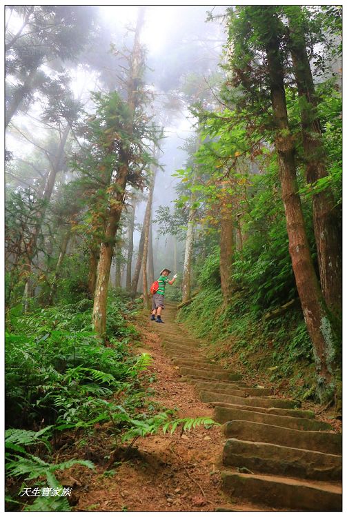 仙山,仙山 仙水,仙山 協靈宮,仙山 苗栗,仙山 靈洞宮,仙山協靈宮,仙山協靈宮交通,仙山古道,仙山古道 南段,仙山導航,仙山步道,仙山登山步道時間,仙山美食,仙山路況,仙山階梯,仙山雲海,仙山靈洞宮,仙山靈洞宮主神,仙山靈洞宮交通,仙山靈洞宮住宿,仙山靈洞宮問事,仙山靈洞宮海拔,仙山風景區,協靈宮九天玄女,協靈宮九天玄女聖誕,協靈宮仙水亭,南庄仙山,南庄仙山古道地圖,灵洞宫,獅潭 仙山,獅潭 爬山,獅潭仙山,獅潭仙山靈洞宮,獅潭鄉仙山,獅潭靈洞宮,苗栗 仙山,苗栗 仙山 住宿,苗栗九天玄女廟,苗栗仙山,苗栗仙山九天玄女廟怎麼去,苗栗仙山交通,苗栗仙山協靈宮地址,苗栗仙山景點,苗栗仙山靈洞宮,苗栗獅潭仙山,苗栗縣仙山,苗栗靈洞宮,草坪頭附近景點,靈洞宮主神,靈洞宮海拔