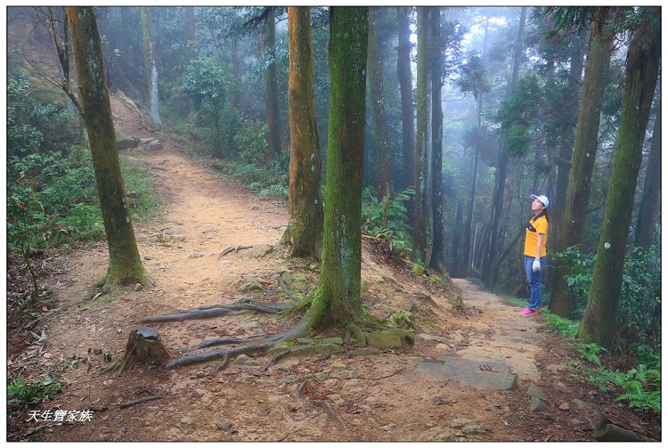 仙山,仙山 仙水,仙山 協靈宮,仙山 苗栗,仙山 靈洞宮,仙山協靈宮,仙山協靈宮交通,仙山古道,仙山古道 南段,仙山導航,仙山步道,仙山登山步道時間,仙山美食,仙山路況,仙山階梯,仙山雲海,仙山靈洞宮,仙山靈洞宮主神,仙山靈洞宮交通,仙山靈洞宮住宿,仙山靈洞宮問事,仙山靈洞宮海拔,仙山風景區,協靈宮九天玄女,協靈宮九天玄女聖誕,協靈宮仙水亭,南庄仙山,南庄仙山古道地圖,灵洞宫,獅潭 仙山,獅潭 爬山,獅潭仙山,獅潭仙山靈洞宮,獅潭鄉仙山,獅潭靈洞宮,苗栗 仙山,苗栗 仙山 住宿,苗栗九天玄女廟,苗栗仙山,苗栗仙山九天玄女廟怎麼去,苗栗仙山交通,苗栗仙山協靈宮地址,苗栗仙山景點,苗栗仙山靈洞宮,苗栗獅潭仙山,苗栗縣仙山,苗栗靈洞宮,草坪頭附近景點,靈洞宮主神,靈洞宮海拔