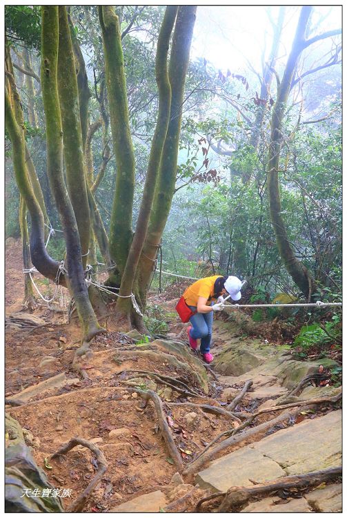 仙山,仙山 仙水,仙山 協靈宮,仙山 苗栗,仙山 靈洞宮,仙山協靈宮,仙山協靈宮交通,仙山古道,仙山古道 南段,仙山導航,仙山步道,仙山登山步道時間,仙山美食,仙山路況,仙山階梯,仙山雲海,仙山靈洞宮,仙山靈洞宮主神,仙山靈洞宮交通,仙山靈洞宮住宿,仙山靈洞宮問事,仙山靈洞宮海拔,仙山風景區,協靈宮九天玄女,協靈宮九天玄女聖誕,協靈宮仙水亭,南庄仙山,南庄仙山古道地圖,灵洞宫,獅潭 仙山,獅潭 爬山,獅潭仙山,獅潭仙山靈洞宮,獅潭鄉仙山,獅潭靈洞宮,苗栗 仙山,苗栗 仙山 住宿,苗栗九天玄女廟,苗栗仙山,苗栗仙山九天玄女廟怎麼去,苗栗仙山交通,苗栗仙山協靈宮地址,苗栗仙山景點,苗栗仙山靈洞宮,苗栗獅潭仙山,苗栗縣仙山,苗栗靈洞宮,草坪頭附近景點,靈洞宮主神,靈洞宮海拔