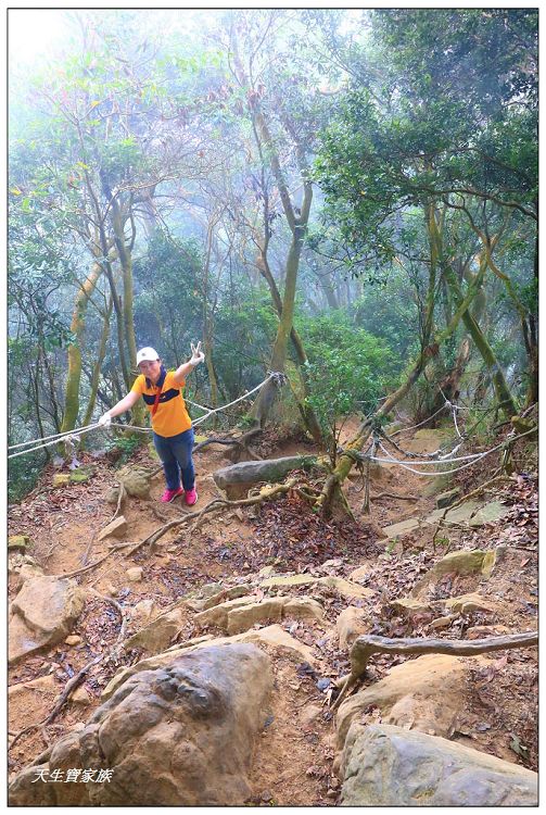 仙山,仙山 仙水,仙山 協靈宮,仙山 苗栗,仙山 靈洞宮,仙山協靈宮,仙山協靈宮交通,仙山古道,仙山古道 南段,仙山導航,仙山步道,仙山登山步道時間,仙山美食,仙山路況,仙山階梯,仙山雲海,仙山靈洞宮,仙山靈洞宮主神,仙山靈洞宮交通,仙山靈洞宮住宿,仙山靈洞宮問事,仙山靈洞宮海拔,仙山風景區,協靈宮九天玄女,協靈宮九天玄女聖誕,協靈宮仙水亭,南庄仙山,南庄仙山古道地圖,灵洞宫,獅潭 仙山,獅潭 爬山,獅潭仙山,獅潭仙山靈洞宮,獅潭鄉仙山,獅潭靈洞宮,苗栗 仙山,苗栗 仙山 住宿,苗栗九天玄女廟,苗栗仙山,苗栗仙山九天玄女廟怎麼去,苗栗仙山交通,苗栗仙山協靈宮地址,苗栗仙山景點,苗栗仙山靈洞宮,苗栗獅潭仙山,苗栗縣仙山,苗栗靈洞宮,草坪頭附近景點,靈洞宮主神,靈洞宮海拔