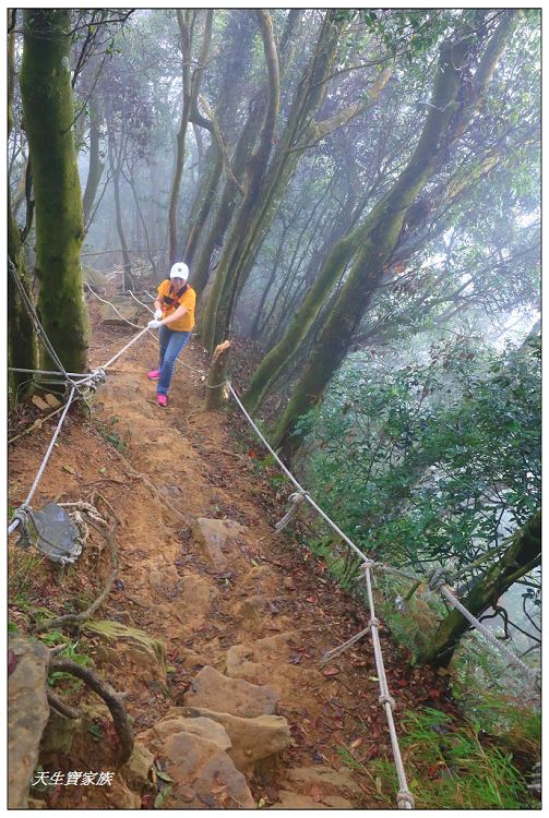 仙山,仙山 仙水,仙山 協靈宮,仙山 苗栗,仙山 靈洞宮,仙山協靈宮,仙山協靈宮交通,仙山古道,仙山古道 南段,仙山導航,仙山步道,仙山登山步道時間,仙山美食,仙山路況,仙山階梯,仙山雲海,仙山靈洞宮,仙山靈洞宮主神,仙山靈洞宮交通,仙山靈洞宮住宿,仙山靈洞宮問事,仙山靈洞宮海拔,仙山風景區,協靈宮九天玄女,協靈宮九天玄女聖誕,協靈宮仙水亭,南庄仙山,南庄仙山古道地圖,灵洞宫,獅潭 仙山,獅潭 爬山,獅潭仙山,獅潭仙山靈洞宮,獅潭鄉仙山,獅潭靈洞宮,苗栗 仙山,苗栗 仙山 住宿,苗栗九天玄女廟,苗栗仙山,苗栗仙山九天玄女廟怎麼去,苗栗仙山交通,苗栗仙山協靈宮地址,苗栗仙山景點,苗栗仙山靈洞宮,苗栗獅潭仙山,苗栗縣仙山,苗栗靈洞宮,草坪頭附近景點,靈洞宮主神,靈洞宮海拔